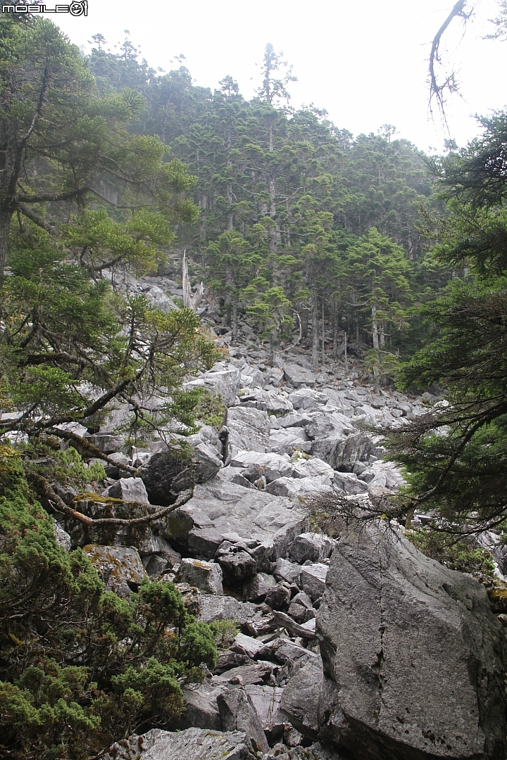 2015.08.05(辣死不償命)一日白姑大山-中橫四辣收工