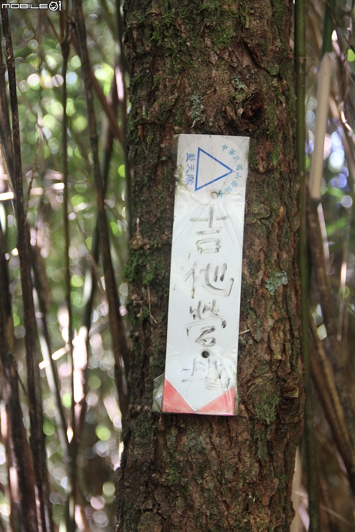 2015.08.05(辣死不償命)一日白姑大山-中橫四辣收工