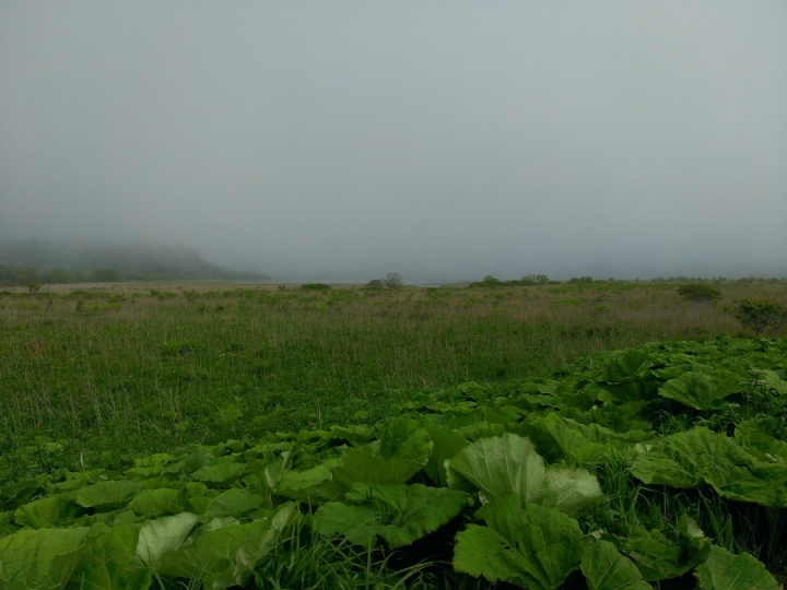 北海道單車旅行