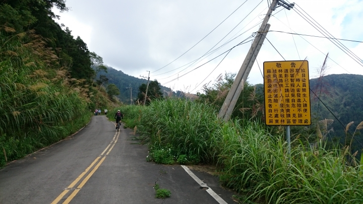 軟腳馬上藤枝