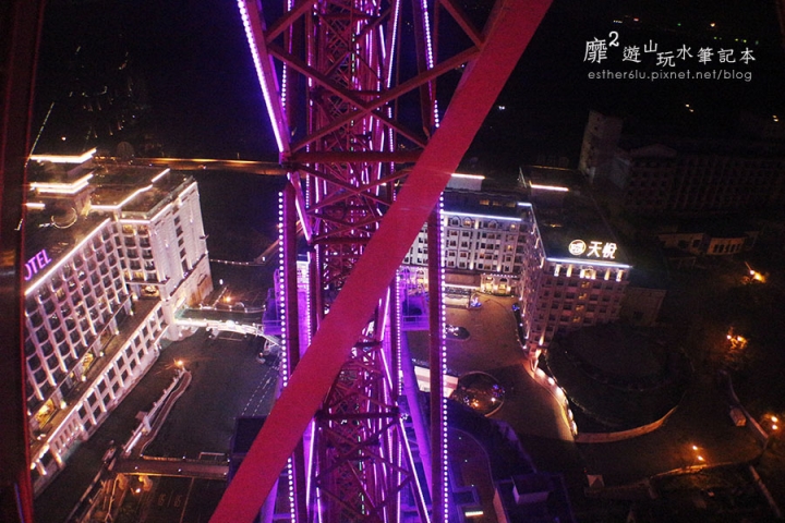 高雄義大世界~摩天輪夜景