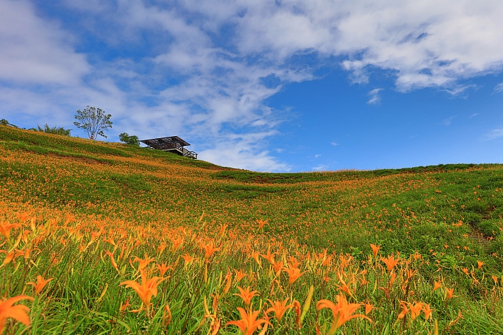 追求影像的極致 Canon EOS 5DS R