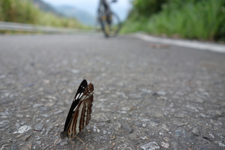 騎遊2015不落系列第三場 , 秋季台中不落三 ,