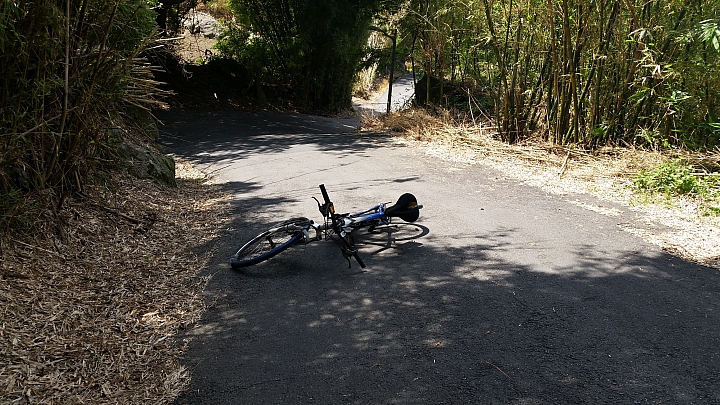 【路線分享】陽明山第一陡坡.青春嶺路 (湖山路二段80-86號).超級陡坡介紹