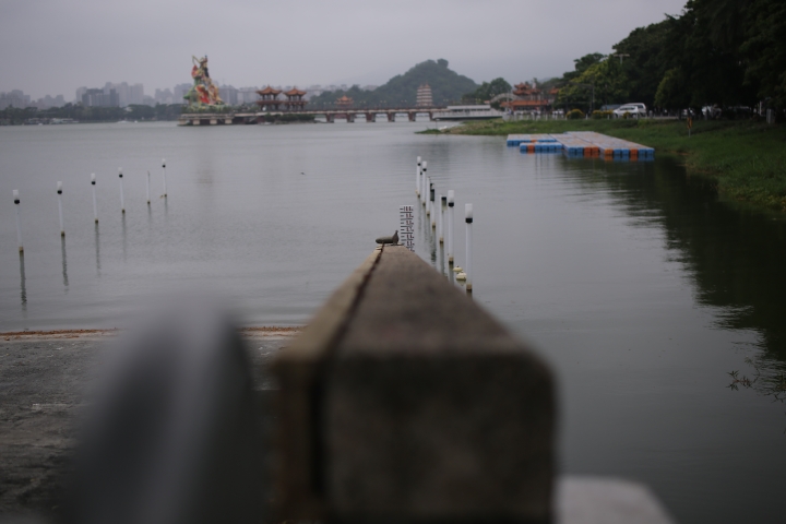 呼風喚雨的龍到來-- Tamron SP 45mm F/1.8 Di VC USD 開箱文(9/29新增星芒、防手震測試。)