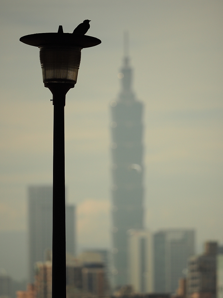 以下犯上 C/P值代表作 Olympus E-M10 MarkII