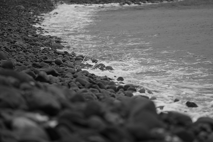 追求影像的極致 Canon EOS 5DS R