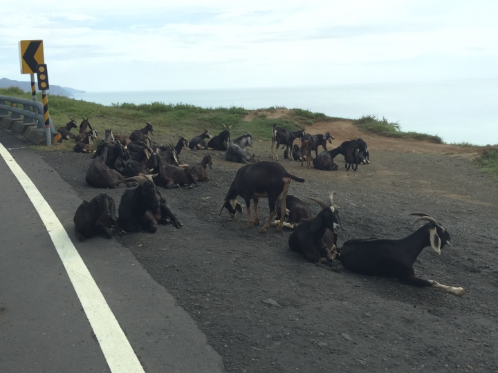 8/24-9/2 單人背包環島10day,逆時鐘環島