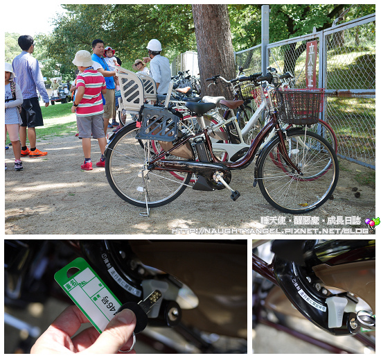 【奈良一日遊】電動腳踏車散策《興福寺、東大寺+奈良公園餵小鹿+志津香釜飯》