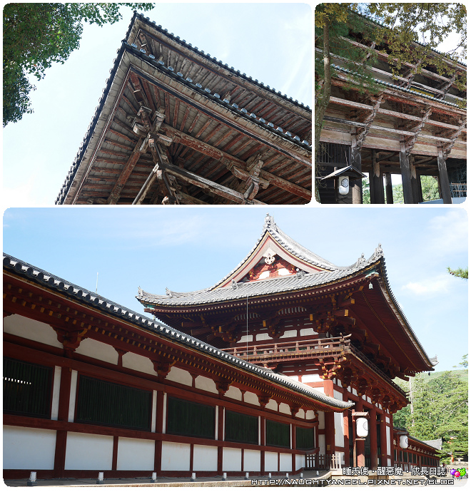【奈良一日遊】電動腳踏車散策《興福寺、東大寺+奈良公園餵小鹿+志津香釜飯》