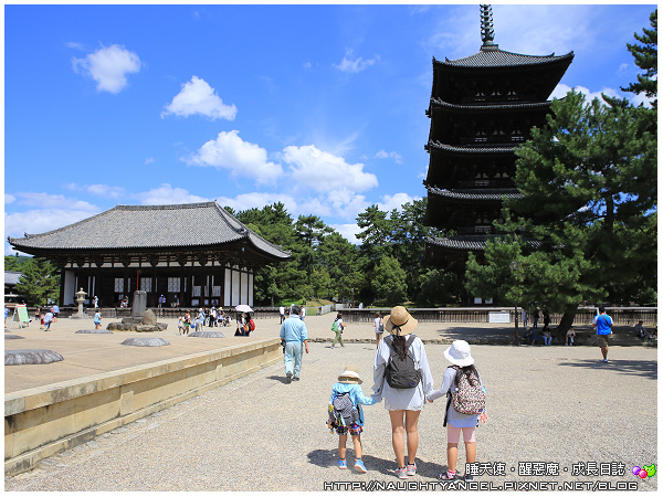 【奈良一日遊】電動腳踏車散策《興福寺、東大寺+奈良公園餵小鹿+志津香釜飯》
