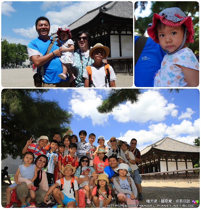 【奈良一日遊】電動腳踏車散策《興福寺、東大寺+奈良公園餵小鹿+志津香釜飯》
