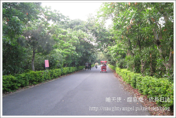 親子旅行必看 。桃竹苗75個溜小孩、晒太陽。親子景點全記錄。