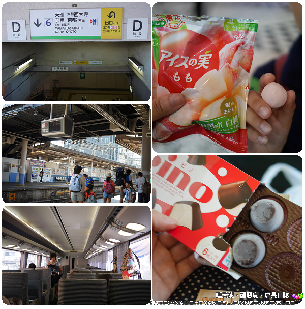 【奈良一日遊】電動腳踏車散策《興福寺、東大寺+奈良公園餵小鹿+志津香釜飯》