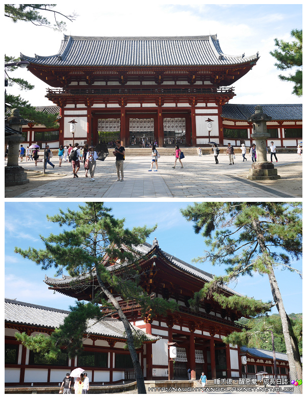 【奈良一日遊】電動腳踏車散策《興福寺、東大寺+奈良公園餵小鹿+志津香釜飯》