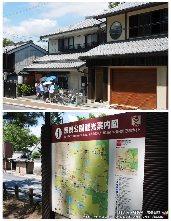 【奈良一日遊】電動腳踏車散策《興福寺、東大寺+奈良公園餵小鹿+志津香釜飯》
