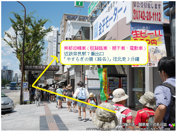 【奈良一日遊】電動腳踏車散策《興福寺、東大寺+奈良公園餵小鹿+志津香釜飯》