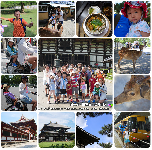 【奈良一日遊】電動腳踏車散策《興福寺、東大寺+奈良公園餵小鹿+志津香釜飯》