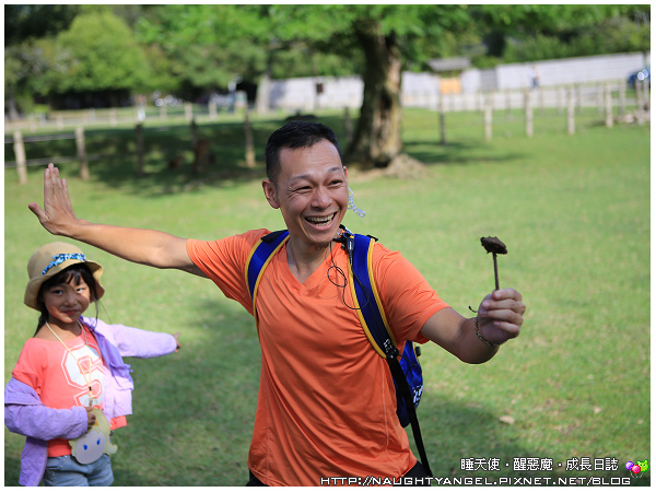 【奈良一日遊】電動腳踏車散策《興福寺、東大寺+奈良公園餵小鹿+志津香釜飯》