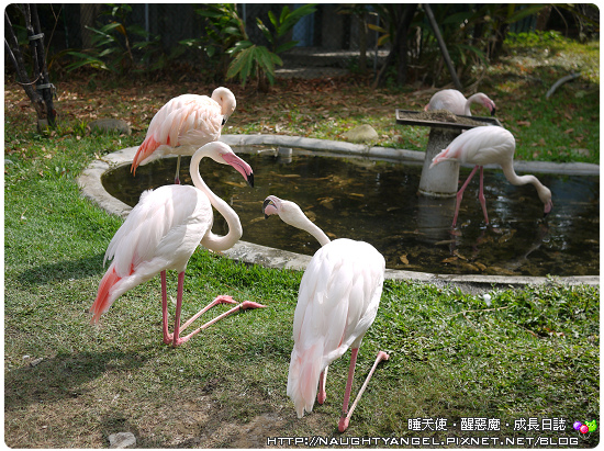 親子旅行必看 。桃竹苗75個溜小孩、晒太陽。親子景點全記錄。