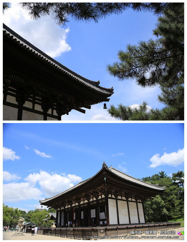 【奈良一日遊】電動腳踏車散策《興福寺、東大寺+奈良公園餵小鹿+志津香釜飯》