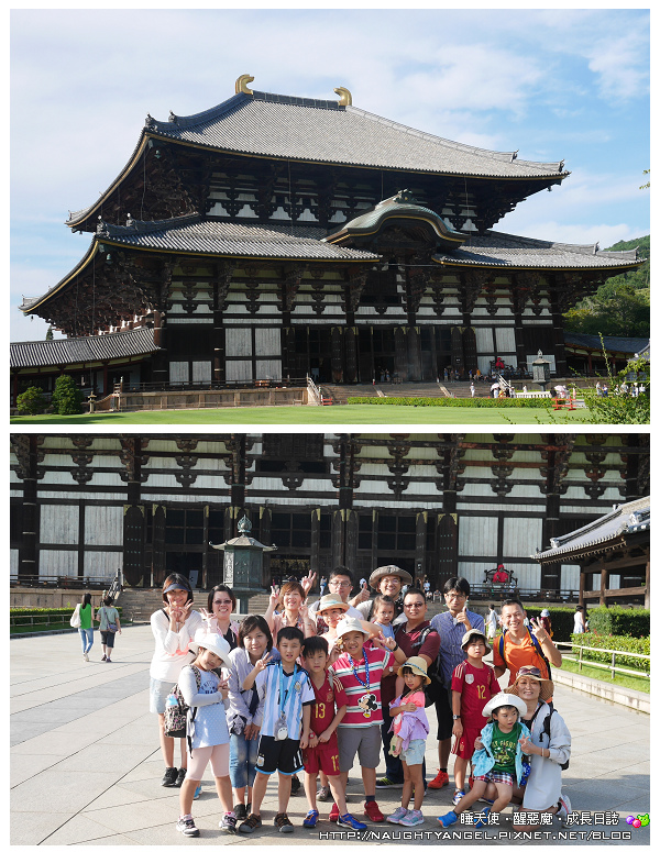 【奈良一日遊】電動腳踏車散策《興福寺、東大寺+奈良公園餵小鹿+志津香釜飯》