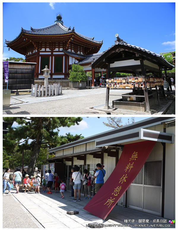 【奈良一日遊】電動腳踏車散策《興福寺、東大寺+奈良公園餵小鹿+志津香釜飯》