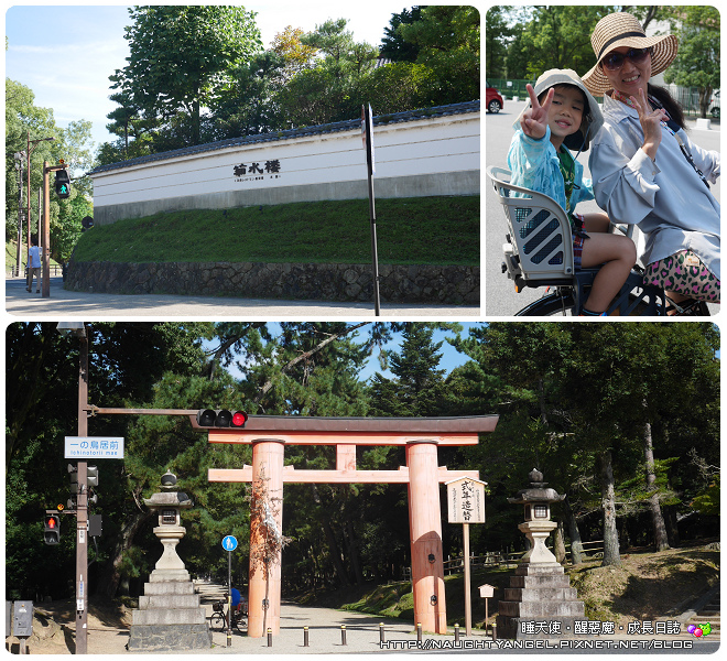 【奈良一日遊】電動腳踏車散策《興福寺、東大寺+奈良公園餵小鹿+志津香釜飯》