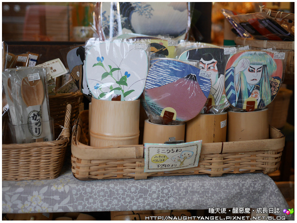 【奈良一日遊】電動腳踏車散策《興福寺、東大寺+奈良公園餵小鹿+志津香釜飯》