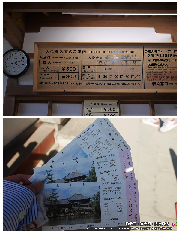 【奈良一日遊】電動腳踏車散策《興福寺、東大寺+奈良公園餵小鹿+志津香釜飯》