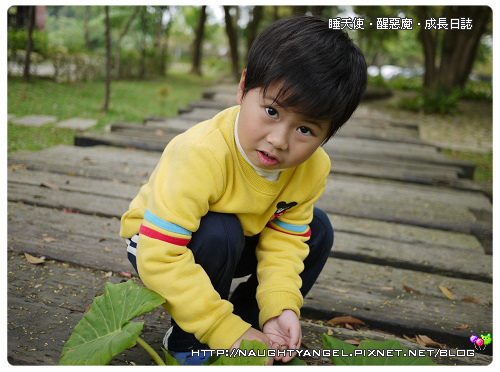 親子旅行必看 。桃竹苗75個溜小孩、晒太陽。親子景點全記錄。