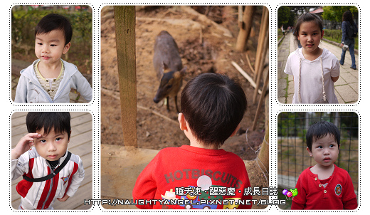 親子旅行必看 。桃竹苗75個溜小孩、晒太陽。親子景點全記錄。