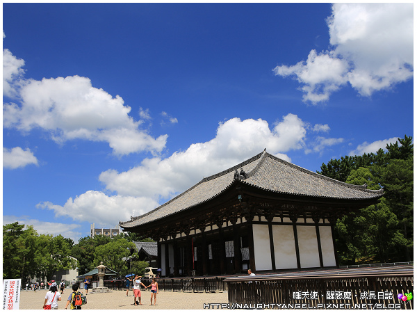 【奈良一日遊】電動腳踏車散策《興福寺、東大寺+奈良公園餵小鹿+志津香釜飯》