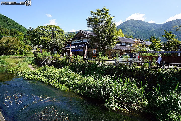 九州由布院小旅行 漫步湯之坪、金麟湖
