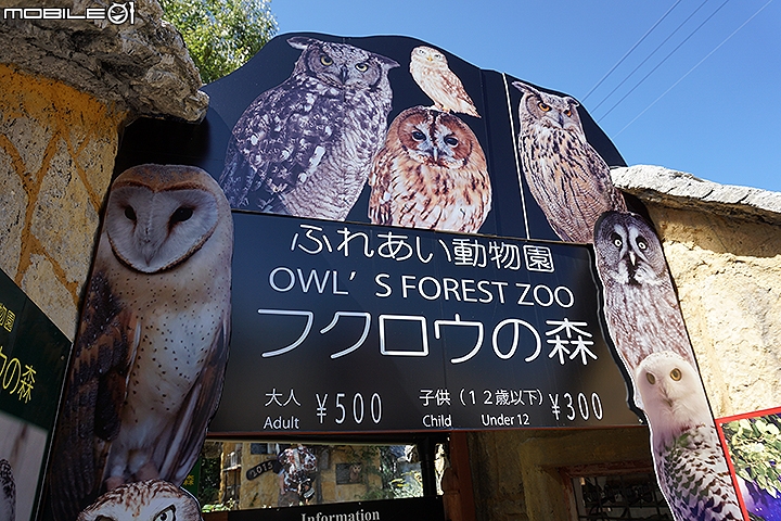九州由布院小旅行 漫步湯之坪、金麟湖