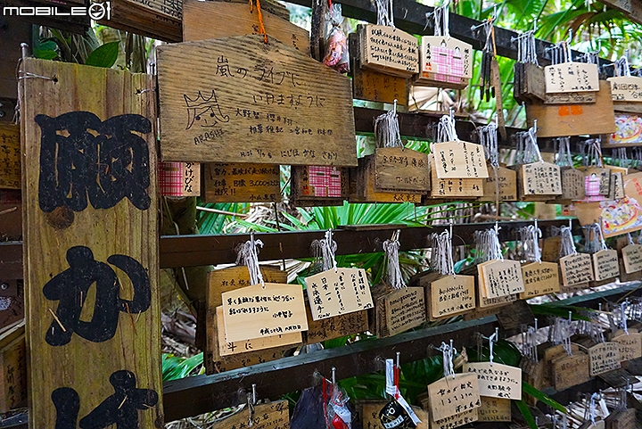 充滿神話色彩 被鬼之洗衣板包圍的青島神社