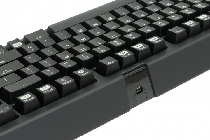 【開箱】Razer 黑寡婦 TE Stealth Chroma + Shine 4 & KBT 古式鍵帽