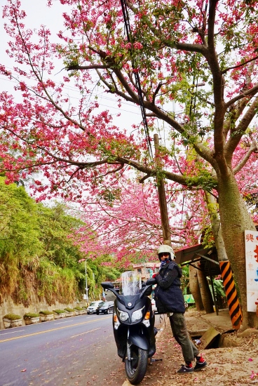 三陽Rv270-15,000km心得評價-謝謝你一年來的陪伴!