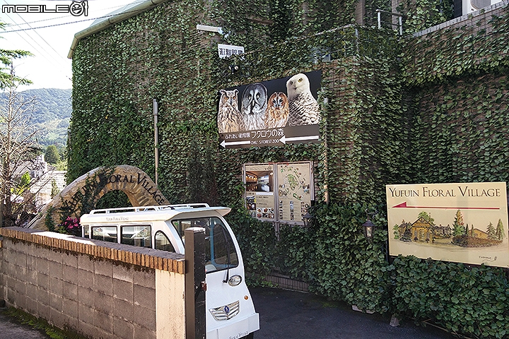 九州由布院小旅行 漫步湯之坪、金麟湖