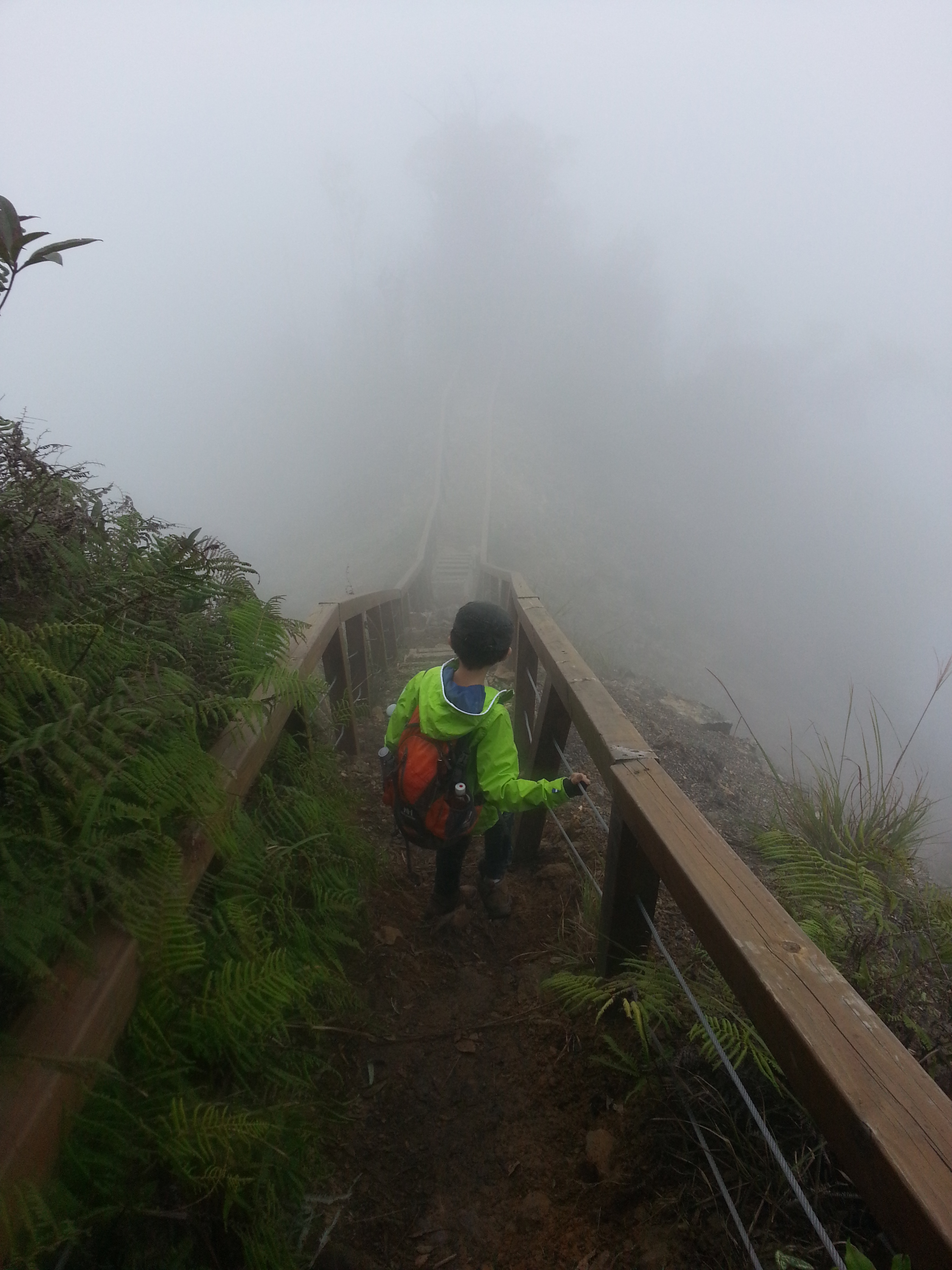 谷關七雄老六~白毛山1522m