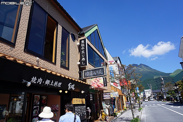 九州由布院小旅行 漫步湯之坪、金麟湖