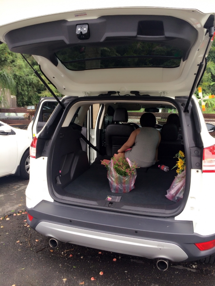 非試不可 Ford New Kuga 免費試駕24小時 KUGA 1.5 大園-大溪