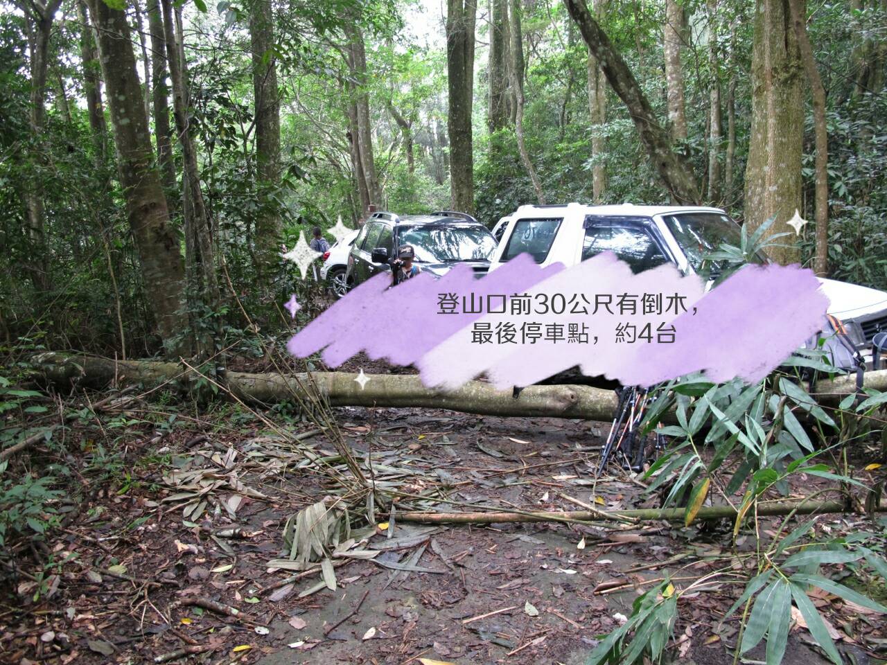 谷關七雄老六~白毛山1522m