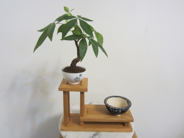偽實木 博古架 展示架
