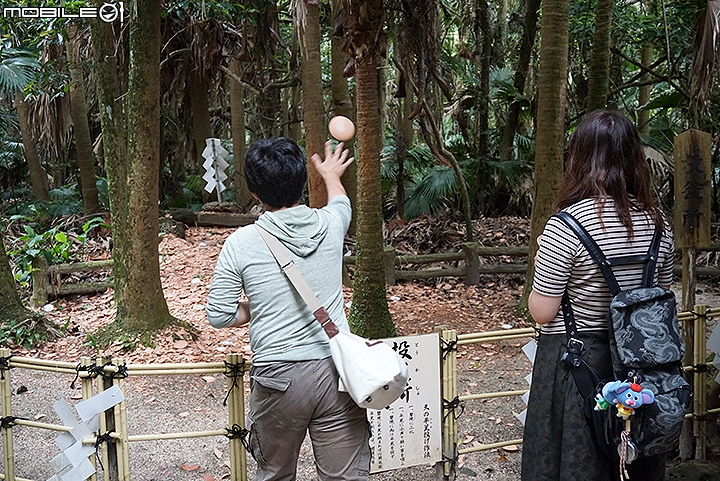 充滿神話色彩 被鬼之洗衣板包圍的青島神社