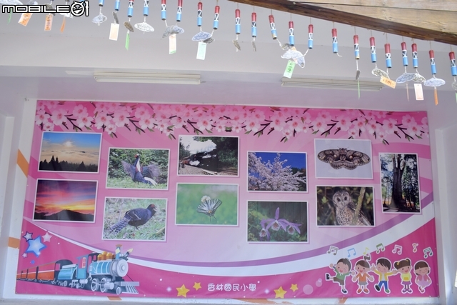 來去尬籃球吧!開著Colt Plus X-Sports勁攻版去阿里山最高的學府香林國小來個三對三鬥牛挑戰賽!