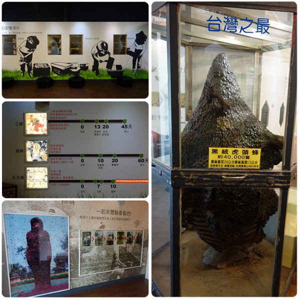 秋季微旅行。中冠礁溪大飯店溫泉樂園+高空360°旋轉滑水道 (二天一夜行程)