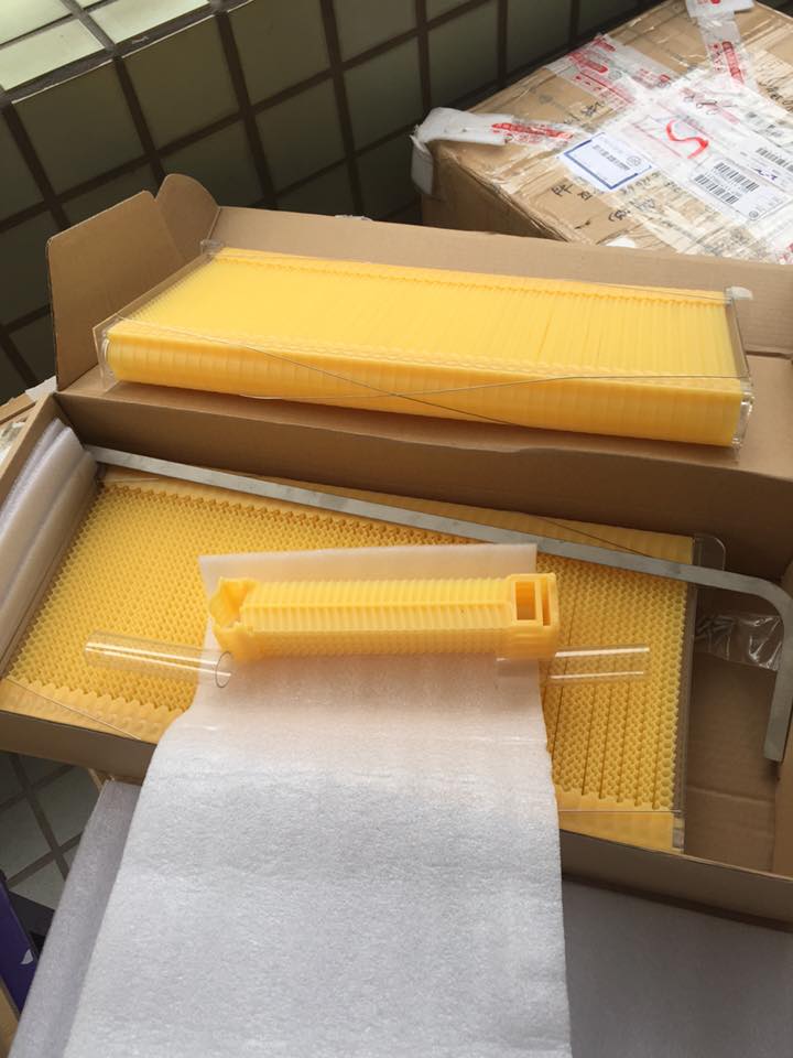 【開箱文】蜜蜂的新玩具