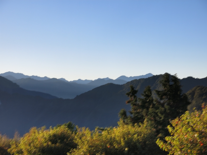 11/7、11/8阿里山 塔塔加,每次上阿里山回程都好累呀