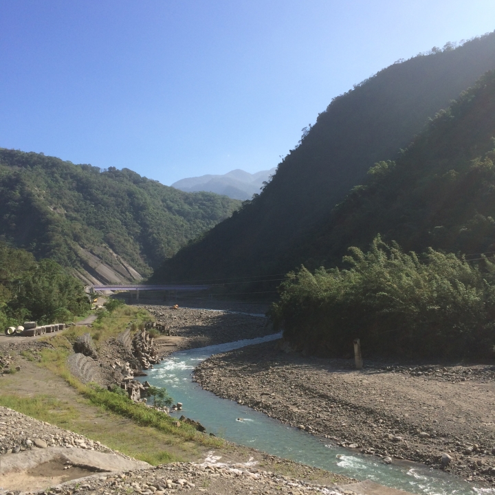 11/7、11/8阿里山 塔塔加,每次上阿里山回程都好累呀